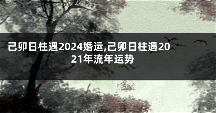 己卯日柱遇2024婚运,己卯日柱遇2021年流年运势