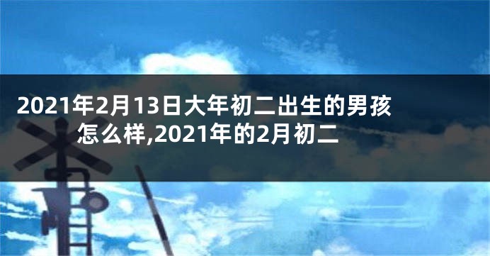 2021年2月13日大年初二出生的男孩怎么样,2021年的2月初二