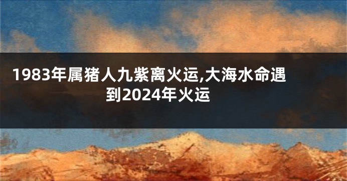 1983年属猪人九紫离火运,大海水命遇到2024年火运