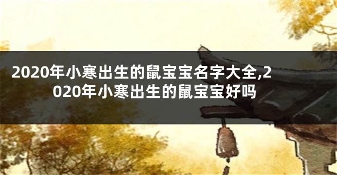 2020年小寒出生的鼠宝宝名字大全,2020年小寒出生的鼠宝宝好吗