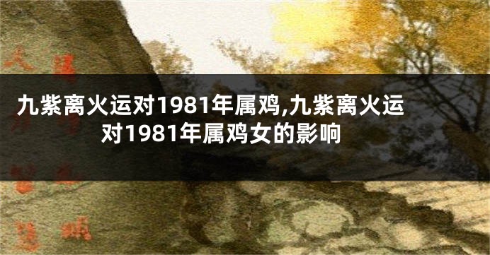 九紫离火运对1981年属鸡,九紫离火运对1981年属鸡女的影响