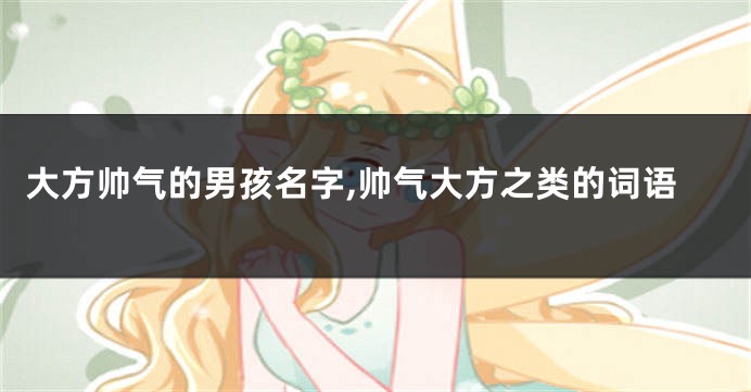 大方帅气的男孩名字,帅气大方之类的词语
