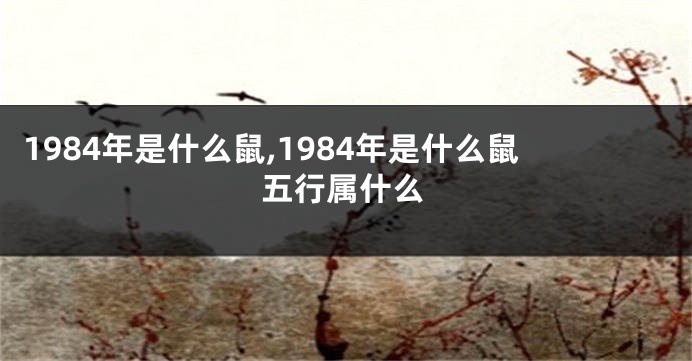 1984年是什么鼠,1984年是什么鼠五行属什么