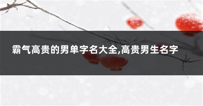 霸气高贵的男单字名大全,高贵男生名字