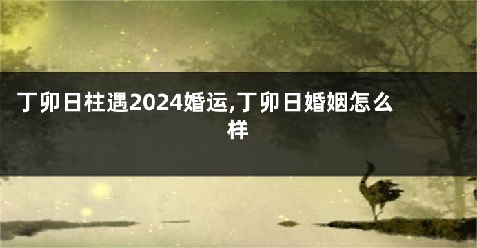 丁卯日柱遇2024婚运,丁卯日婚姻怎么样
