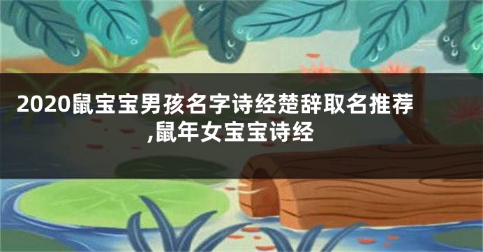 2020鼠宝宝男孩名字诗经楚辞取名推荐,鼠年女宝宝诗经