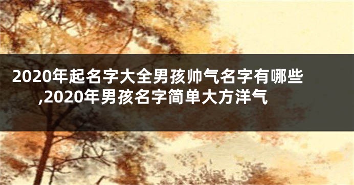 2020年起名字大全男孩帅气名字有哪些,2020年男孩名字简单大方洋气