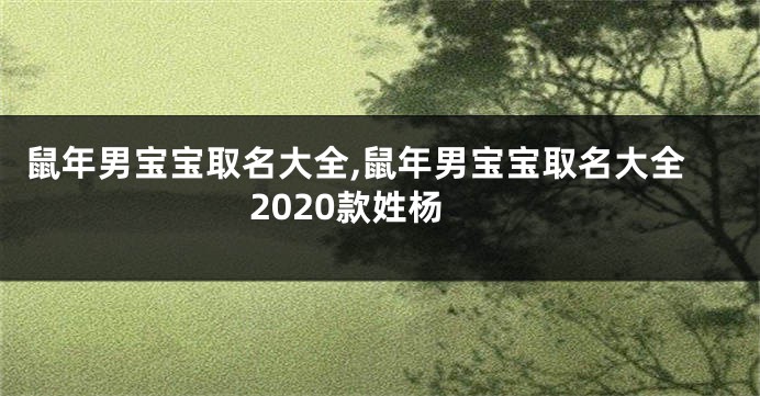 鼠年男宝宝取名大全,鼠年男宝宝取名大全2020款姓杨