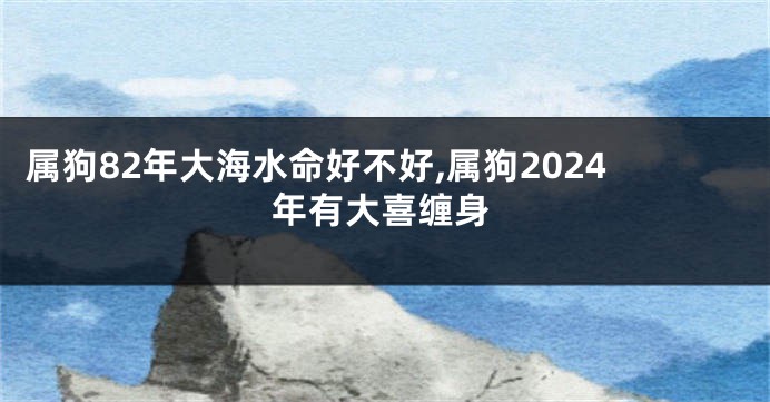 属狗82年大海水命好不好,属狗2024年有大喜缠身