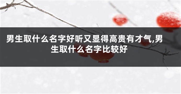 男生取什么名字好听又显得高贵有才气,男生取什么名字比较好