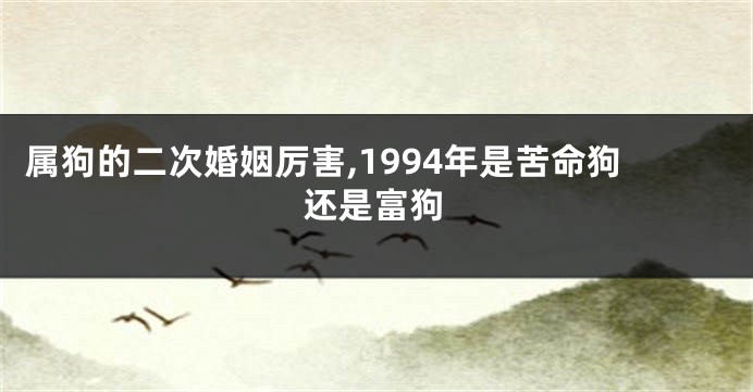 属狗的二次婚姻厉害,1994年是苦命狗还是富狗