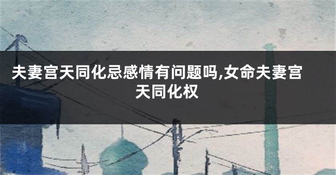 夫妻宫天同化忌感情有问题吗,女命夫妻宫天同化权