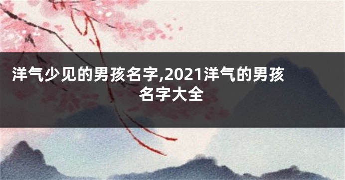 洋气少见的男孩名字,2021洋气的男孩名字大全