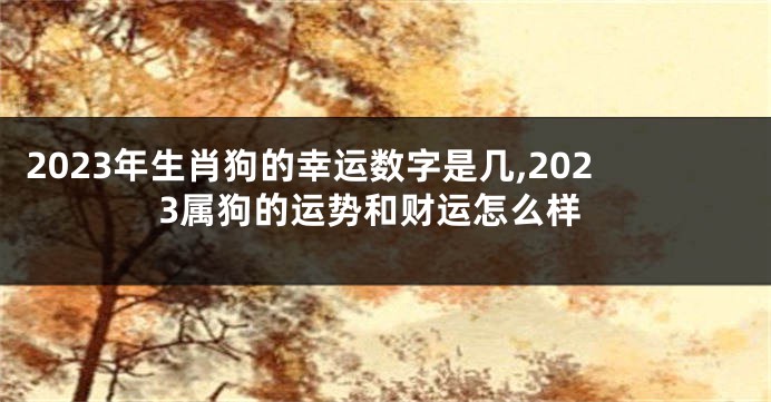 2023年生肖狗的幸运数字是几,2023属狗的运势和财运怎么样