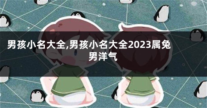 男孩小名大全,男孩小名大全2023属兔男洋气