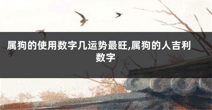 属狗的使用数字几运势最旺,属狗的人吉利数字