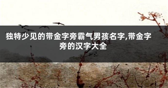 独特少见的带金字旁霸气男孩名字,带金字旁的汉字大全