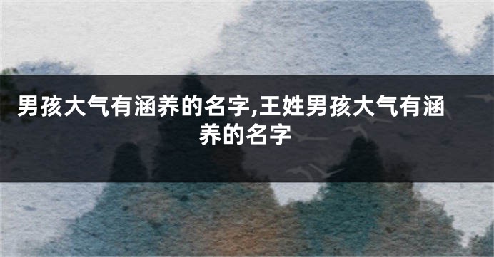 男孩大气有涵养的名字,王姓男孩大气有涵养的名字