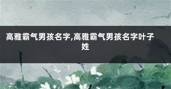 高雅霸气男孩名字,高雅霸气男孩名字叶子姓
