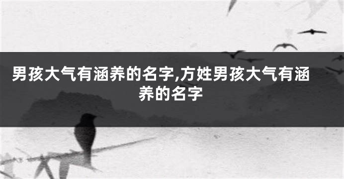 男孩大气有涵养的名字,方姓男孩大气有涵养的名字