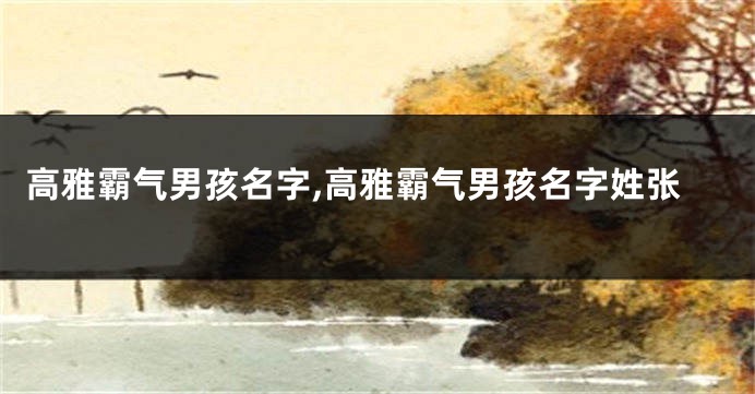 高雅霸气男孩名字,高雅霸气男孩名字姓张