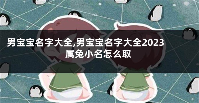 男宝宝名字大全,男宝宝名字大全2023属兔小名怎么取