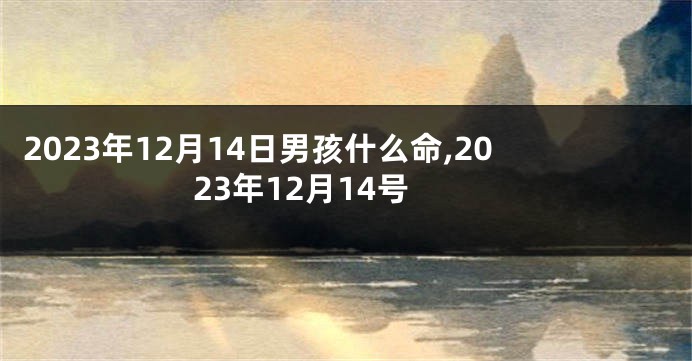 2023年12月14日男孩什么命,2023年12月14号