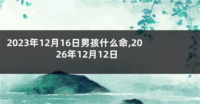 2023年12月16日男孩什么命,2026年12月12日