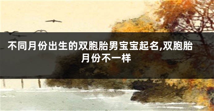 不同月份出生的双胞胎男宝宝起名,双胞胎月份不一样
