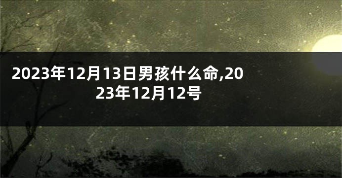 2023年12月13日男孩什么命,2023年12月12号