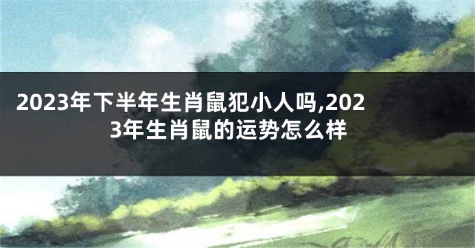 2023年下半年生肖鼠犯小人吗,2023年生肖鼠的运势怎么样