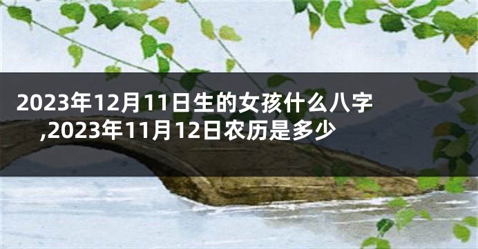 2023年12月11日生的女孩什么八字,2023年11月12日农历是多少