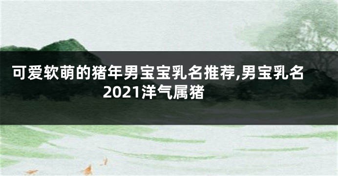 可爱软萌的猪年男宝宝乳名推荐,男宝乳名2021洋气属猪
