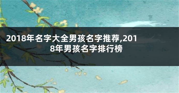 2018年名字大全男孩名字推荐,2018年男孩名字排行榜