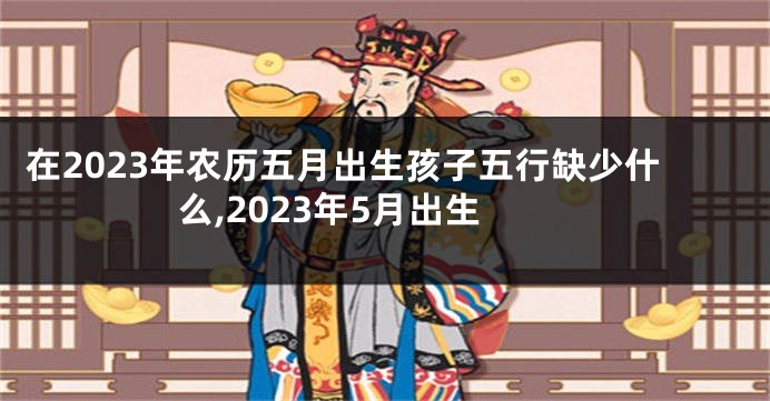 在2023年农历五月出生孩子五行缺少什么,2023年5月出生