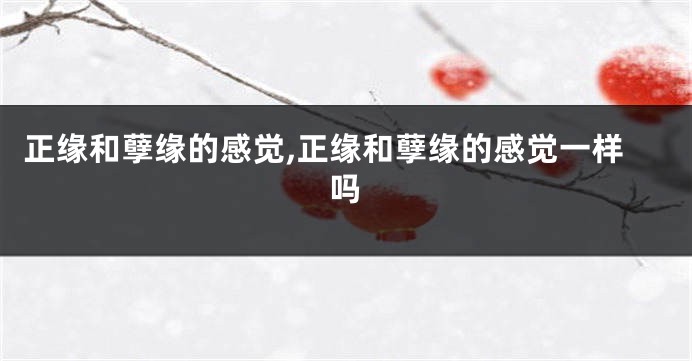正缘和孽缘的感觉,正缘和孽缘的感觉一样吗