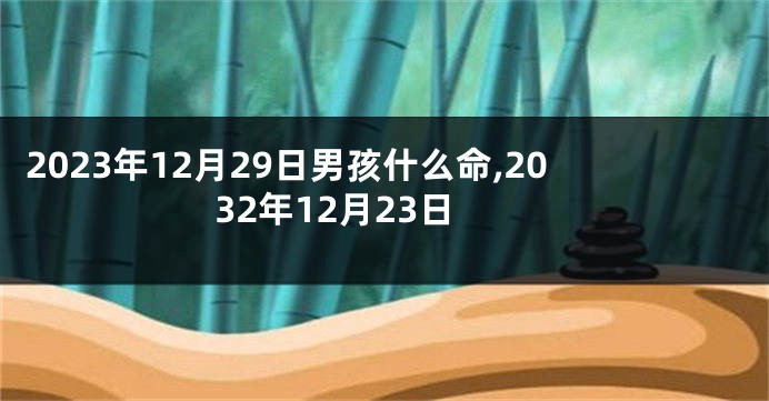 2023年12月29日男孩什么命,2032年12月23日