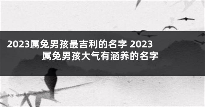 2023属兔男孩最吉利的名字 2023属兔男孩大气有涵养的名字