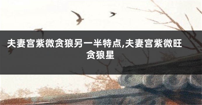 夫妻宫紫微贪狼另一半特点,夫妻宫紫微旺贪狼星