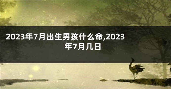 2023年7月出生男孩什么命,2023年7月几日
