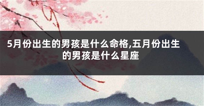 5月份出生的男孩是什么命格,五月份出生的男孩是什么星座
