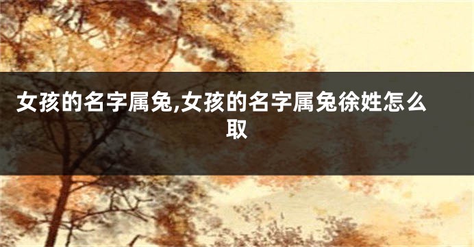 女孩的名字属兔,女孩的名字属兔徐姓怎么取