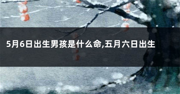 5月6日出生男孩是什么命,五月六日出生