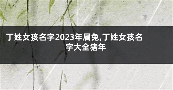 丁姓女孩名字2023年属兔,丁姓女孩名字大全猪年
