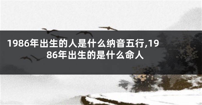 1986年出生的人是什么纳音五行,1986年出生的是什么命人