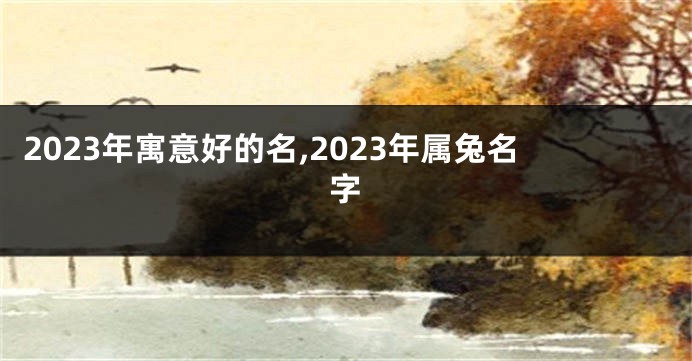 2023年寓意好的名,2023年属兔名字