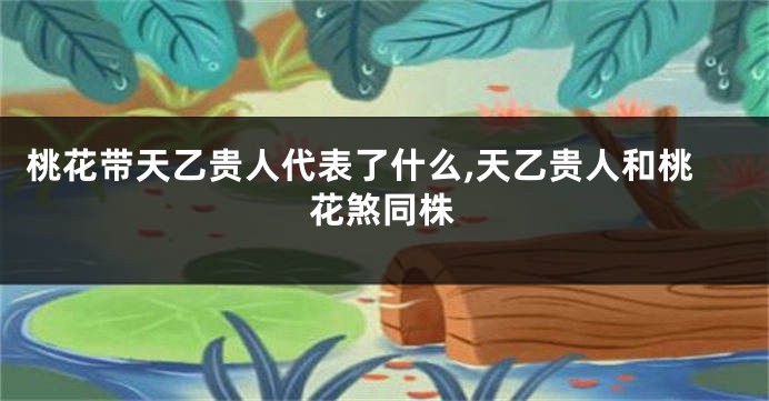 桃花带天乙贵人代表了什么,天乙贵人和桃花煞同株