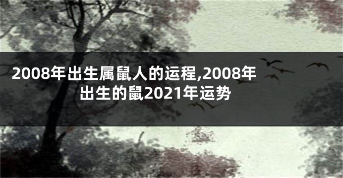 2008年出生属鼠人的运程,2008年出生的鼠2021年运势