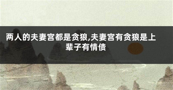两人的夫妻宫都是贪狼,夫妻宫有贪狼是上辈子有情债