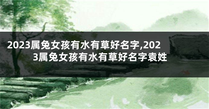 2023属兔女孩有水有草好名字,2023属兔女孩有水有草好名字袁姓